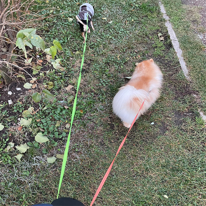 Retractable Dual Pet Leash for Small Dogs with Reflective Features and 360-Degree Swivel, Equipped with Lights for Enhanced Safety
